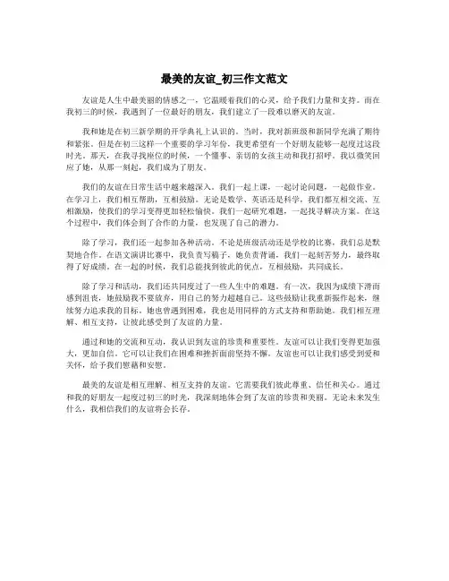 最美的友谊_初三作文范文