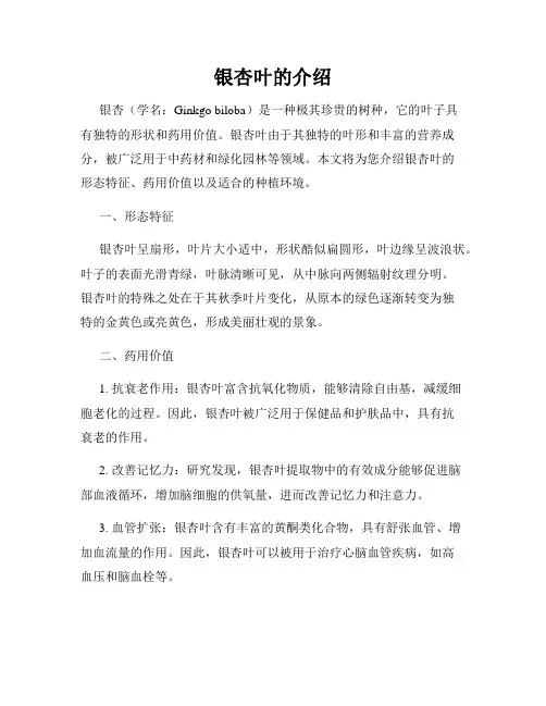 银杏叶的介绍
