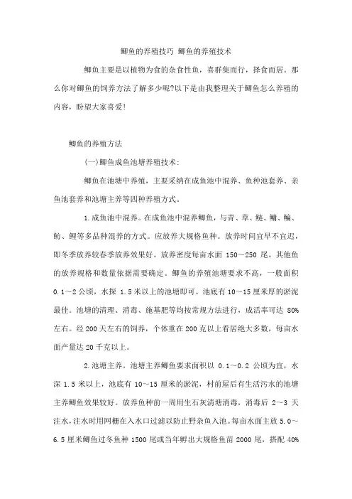 鲫鱼的养殖技巧 鲫鱼的养殖技术