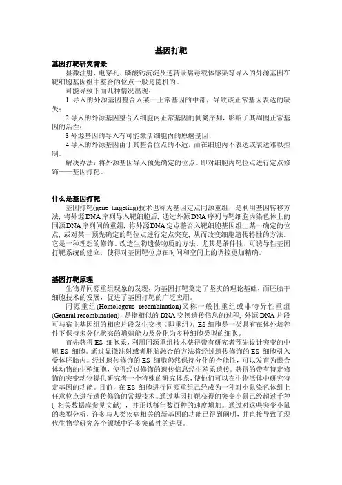 基因打靶
