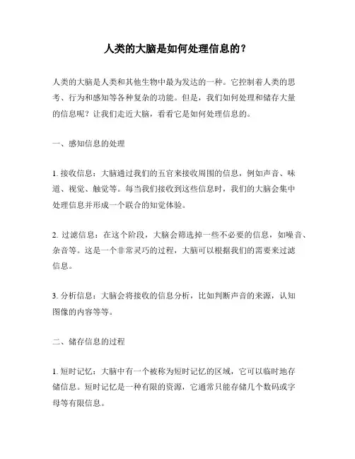 人类的大脑是如何处理信息的？