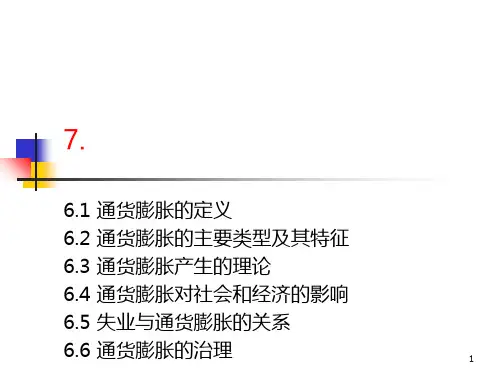 7通货膨胀PPT课件