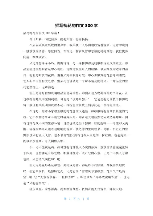 描写梅花的作文800字