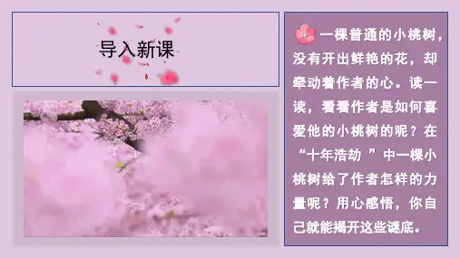 第19课《一棵小桃树》课件(30张PPT)语文七年下册(1)