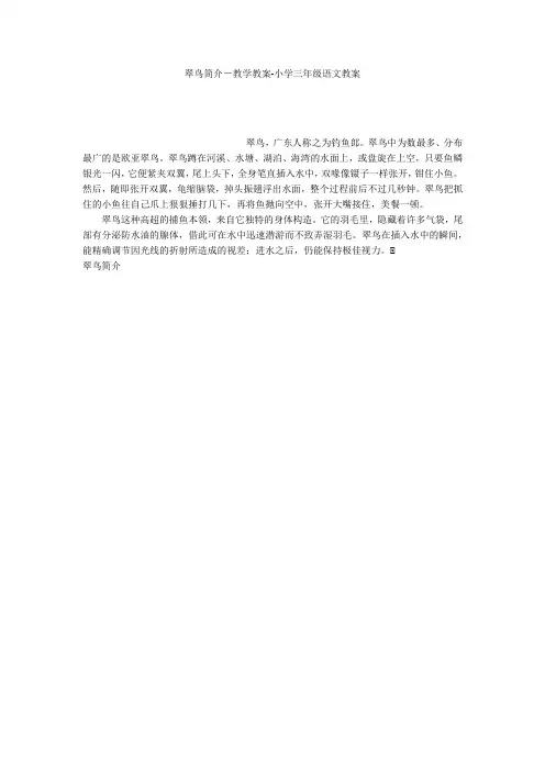 翠鸟简介-教学教案-小学三年级语文教案