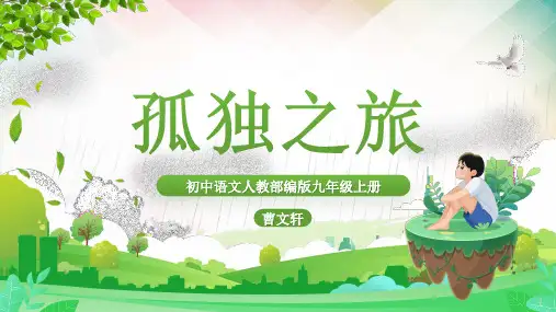 《孤独之旅》ppt课件