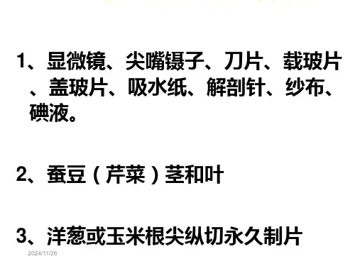 实验植物细胞切片的制作