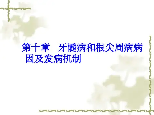 牙髓病和根尖周病病因及发病机制_温医《牙体牙髓病学》
