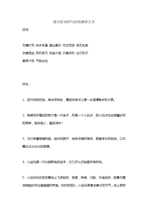 战马好词好句好段摘抄大全