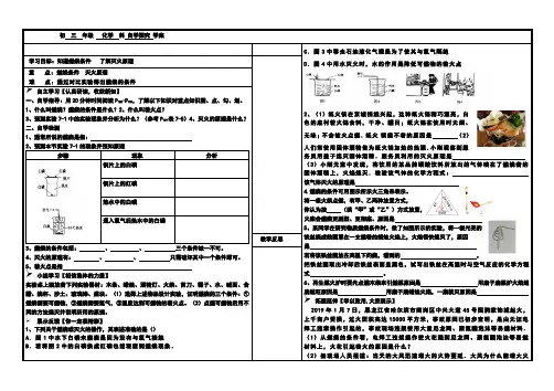 沪教新课标九年级上册初中化学《第四章 认识化学变化 基础实验3 物质燃烧的条件》_5