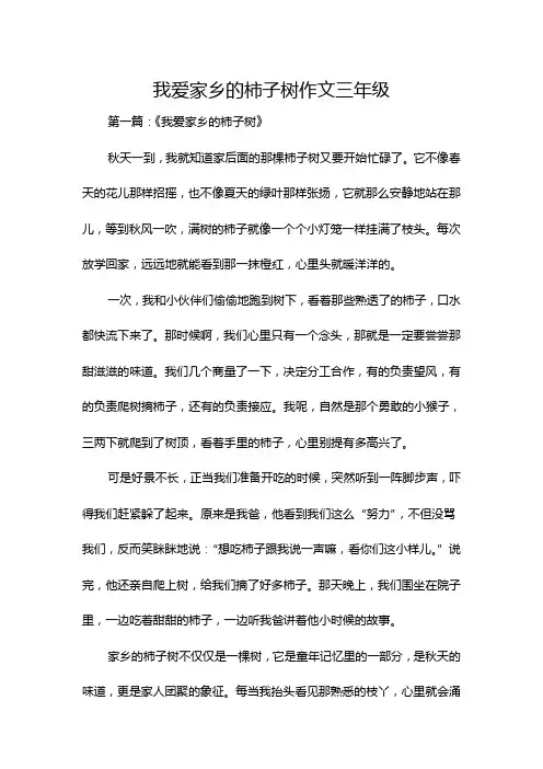 我爱家乡的柿子树作文三年级