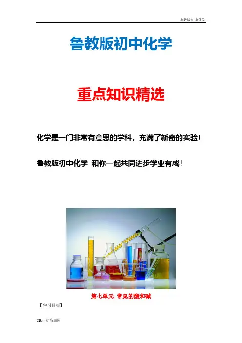 新版鲁教版初中化学九年级下册全册 第7单元《常见的酸和碱》导学案
