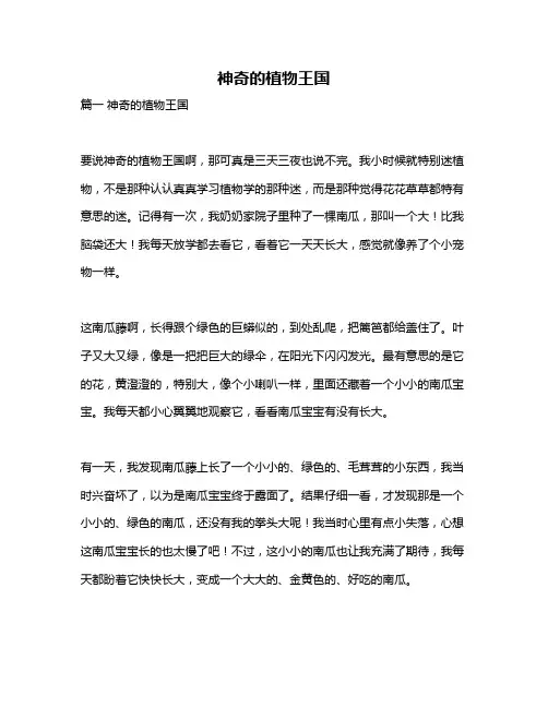 作文《神奇的植物王国》