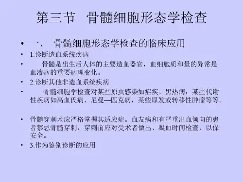 骨髓细胞学——实验室检查