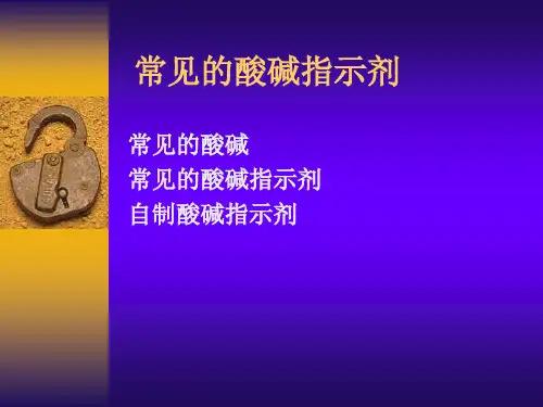 常见的酸碱指示剂PPT教学课件