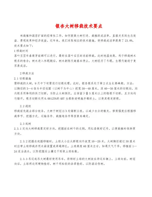银杏大树移栽技术要点