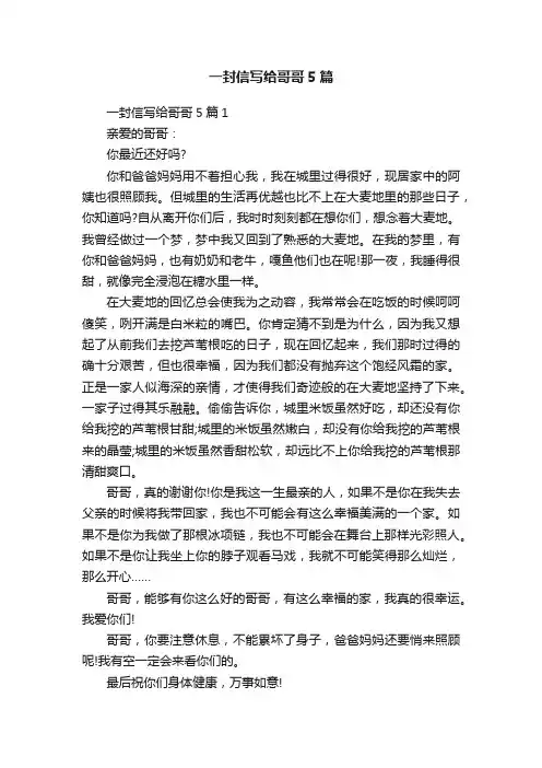 一封信写给哥哥5篇