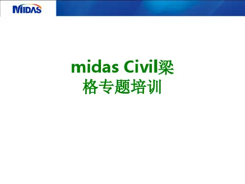 midasCivil梁格专题培训经典课件