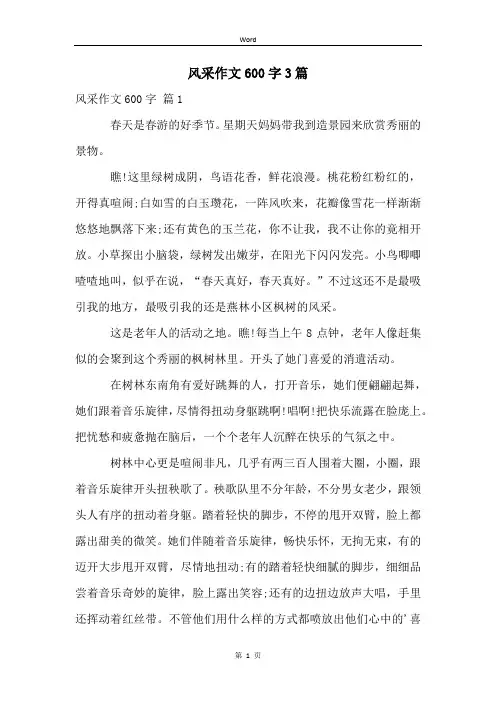 风采作文600字3篇
