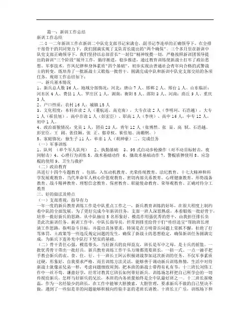 新训个人总结