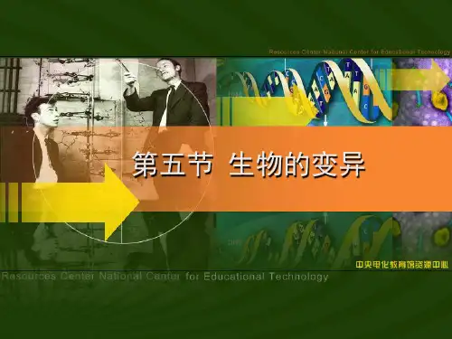 生物的变异课件