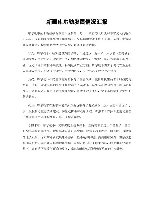 新疆库尔勒发展情况汇报