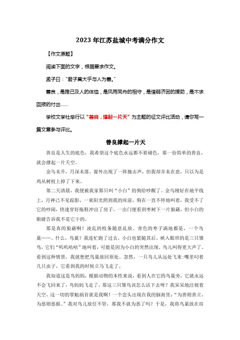 2023年江苏盐城中考满分作文《善良撑起一片天》