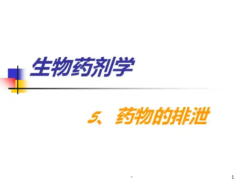 药物的排泄PPT课件