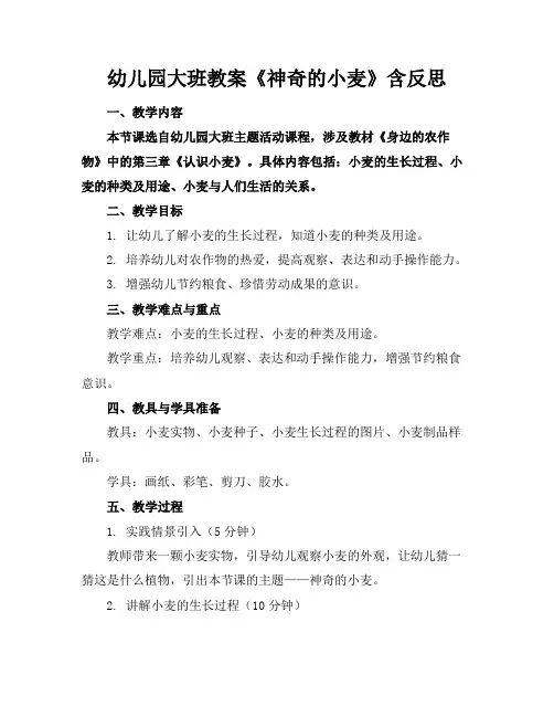 幼儿园大班教案《神奇的小麦》含反思(1)