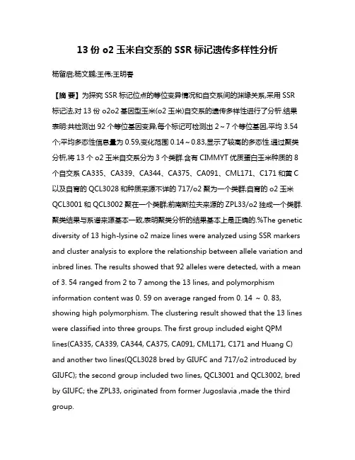 13份o2玉米自交系的SSR标记遗传多样性分析