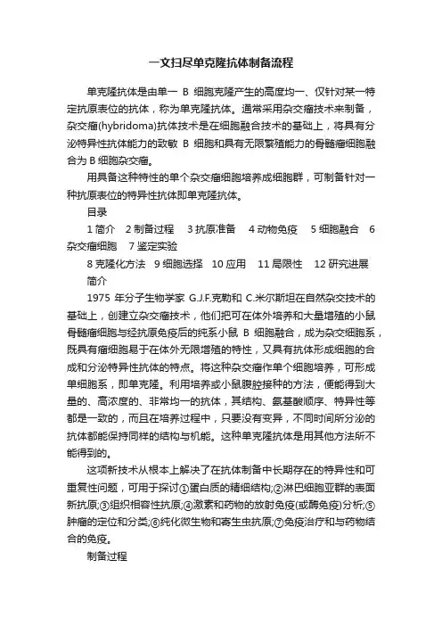 一文扫尽单克隆抗体制备流程