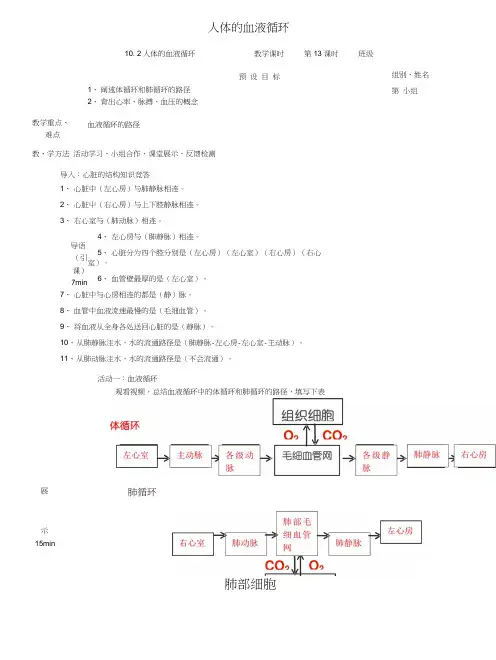 七年级生物下册102人体的血液循环(第2课时)学案(新版)苏教版.docx