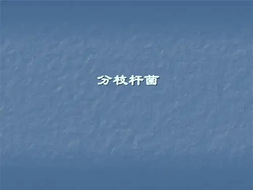 分枝杆菌医学