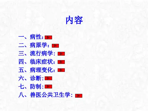 沙门氏菌病相关资料课件
