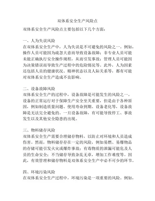 双体系安全生产风险点