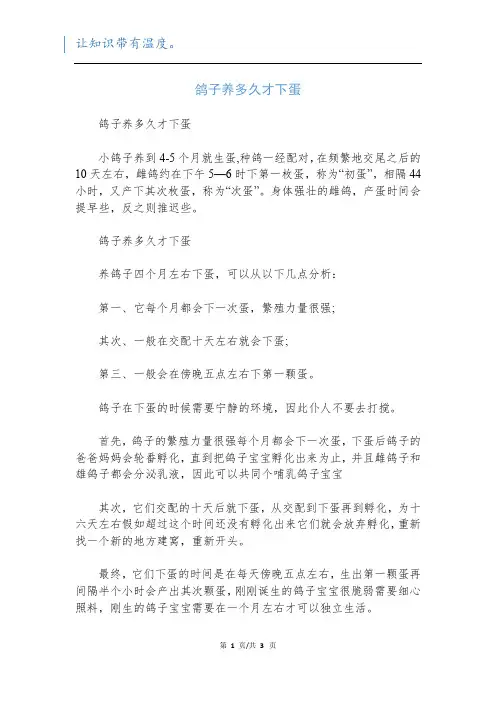 鸽子养多久才下蛋