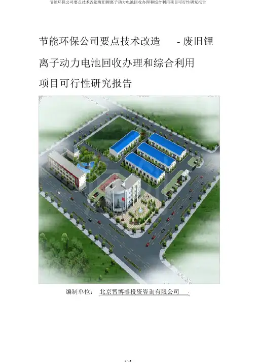 节能环保企业重点技术改造废旧锂离子动力电池回收处理和综合利用项目可行性研究报告