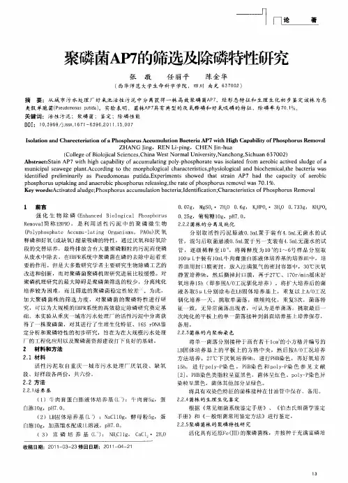 聚磷菌AP7的筛选及除磷特性研究