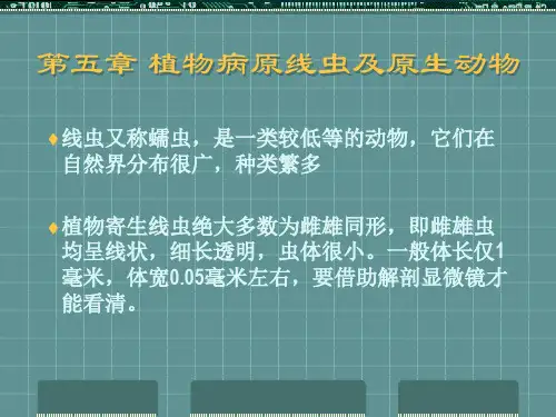 植物病原线虫及原生动物