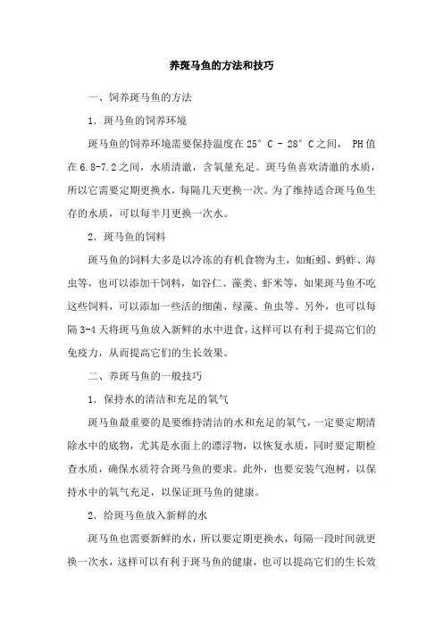 养斑马鱼的方法和技巧