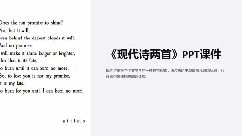 《现代诗两首》课件