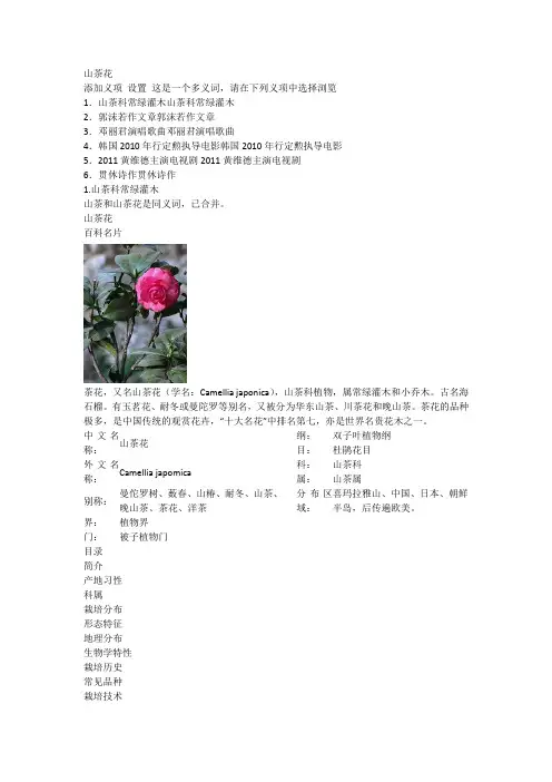 山茶花简介