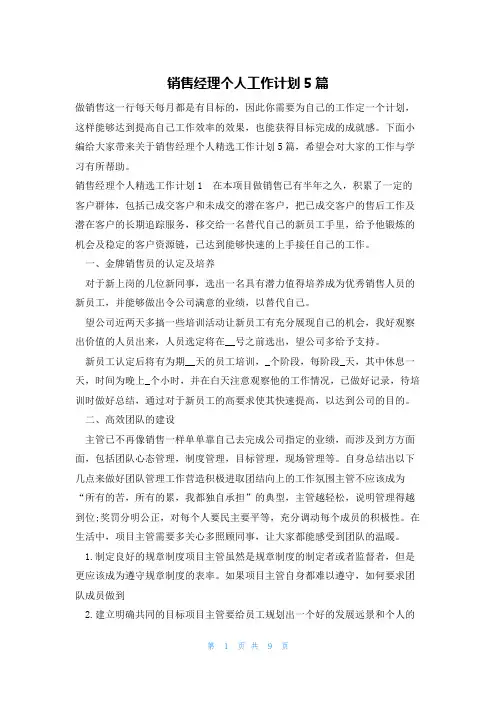 销售经理个人工作计划5篇