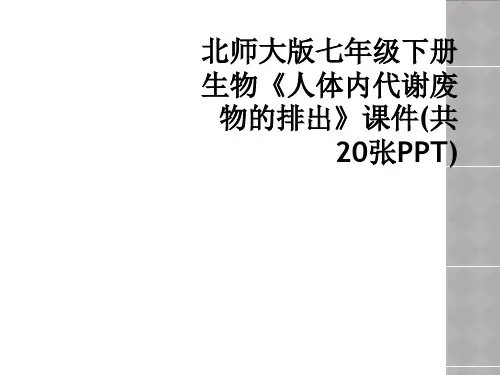 北师大版七年级下册生物《人体内代谢废物的排出》课件