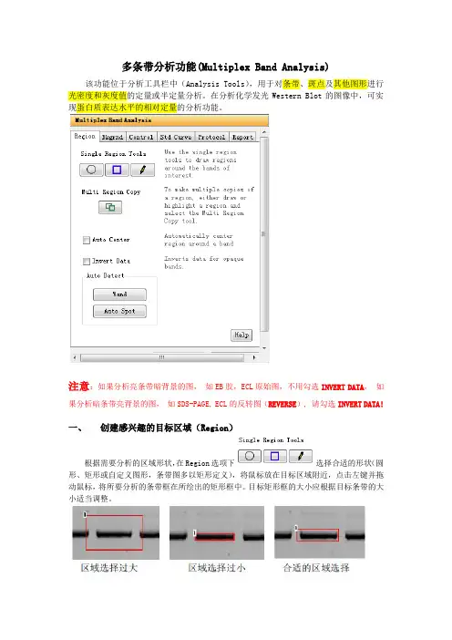 DRAFT-alphaview-分析及图像处理