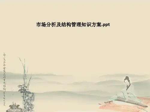 市场分析及结构管理知识方案