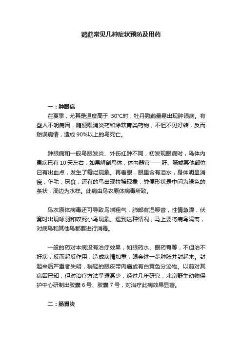 鹦鹉常见几种症状预防及用药