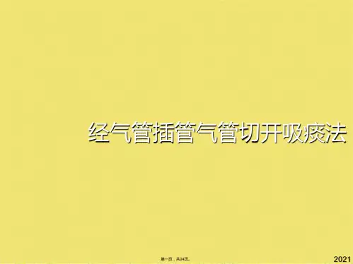 经气管插管气管切开吸痰法(共24张PPT)