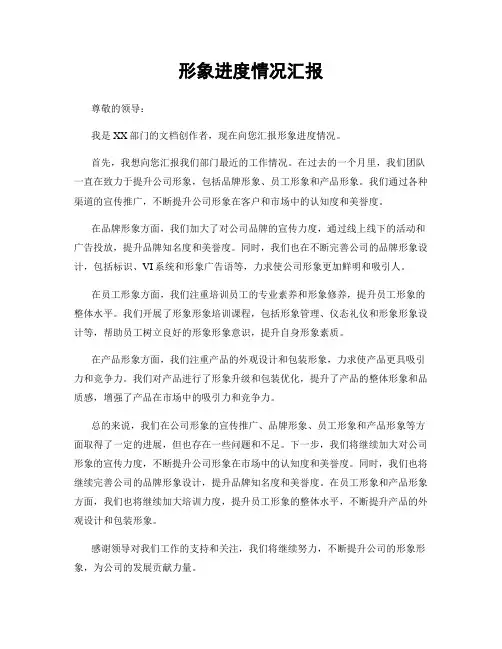 形象进度情况汇报