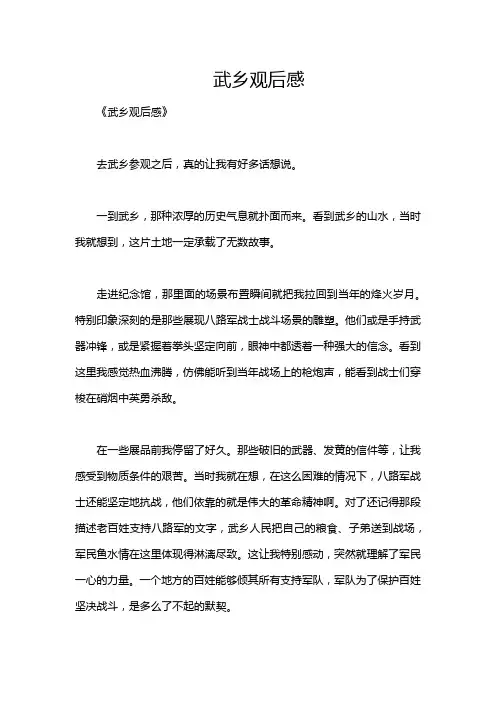 武乡观后感